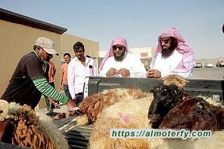 18 ألف مذبوحات الاحساء حتى ثاني أيام " الاضحى "