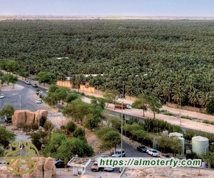 واحة الأحساء.. منتجعات سياحية تحفز على الاستجمام