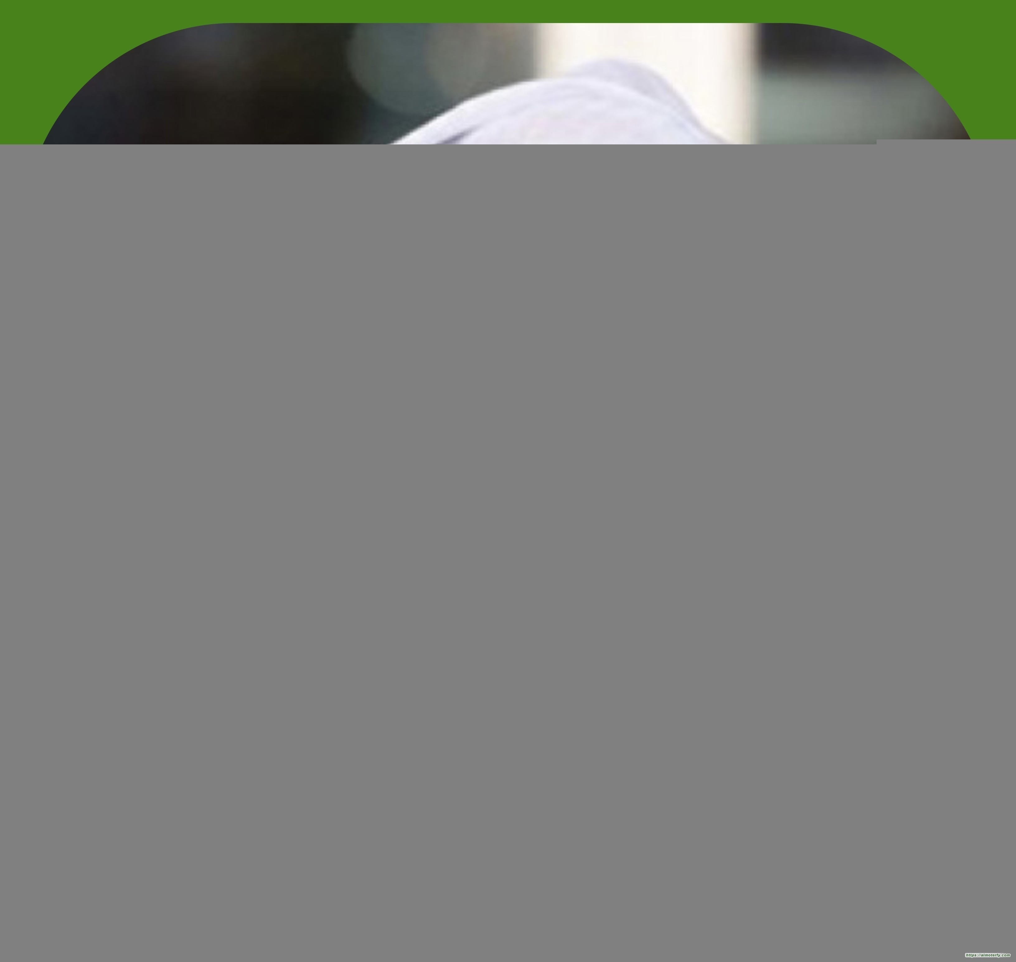 السرد والإيديولوجيا والتاريخ