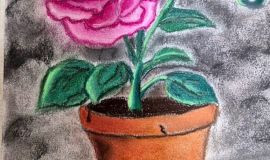 الفنانة التشكيلية..غالية إبراهيم - حيثما أجد ريشتي وألواني أجد نفسي .