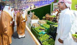 مهرجان اللومي الحساوي.. توحيد للهوية الزراعية لا سبب للخلاف