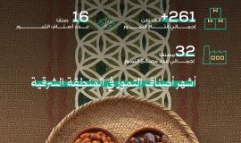 "النخيل والتمور": 16 صنفًا من تمور الشرقية تتصـدر الأسـواق في رمضان