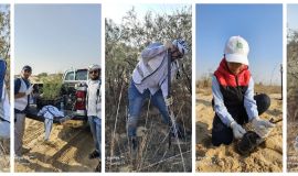 جمعية البيئة الخضراء تعزز حضورها العالمي بتوثيق منهجية التشجير المقاومة للملوحة عبر WOCAT